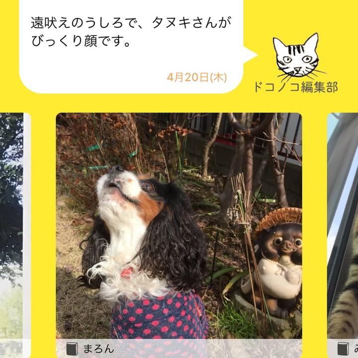 55d321da d5d0 4ef8 b6b2 552cd8e8f85d