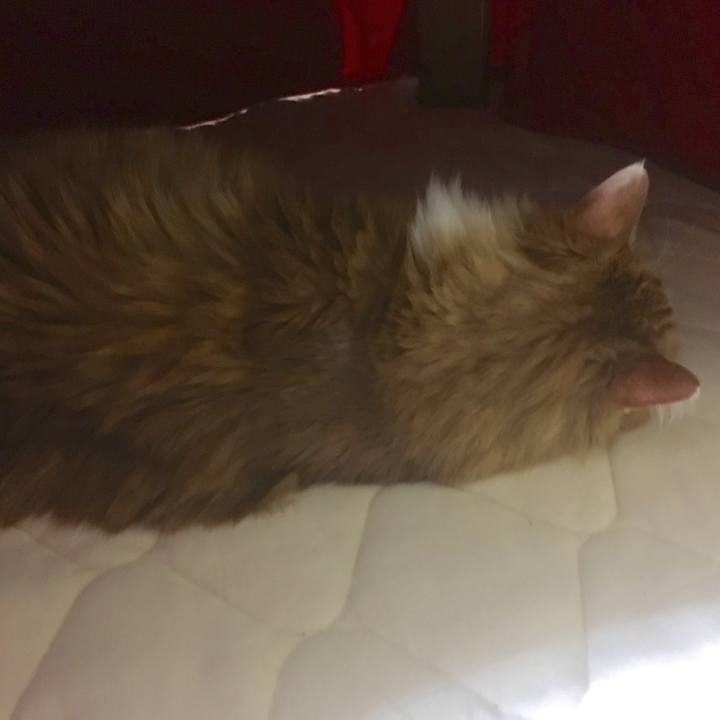 55d37a0d 6795 4a97 ac83 98ae8ac99c13