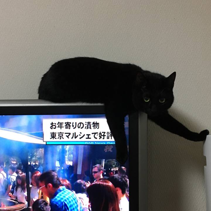 55d3ef92 3e8f 439e bf9d a0f82d5013a3