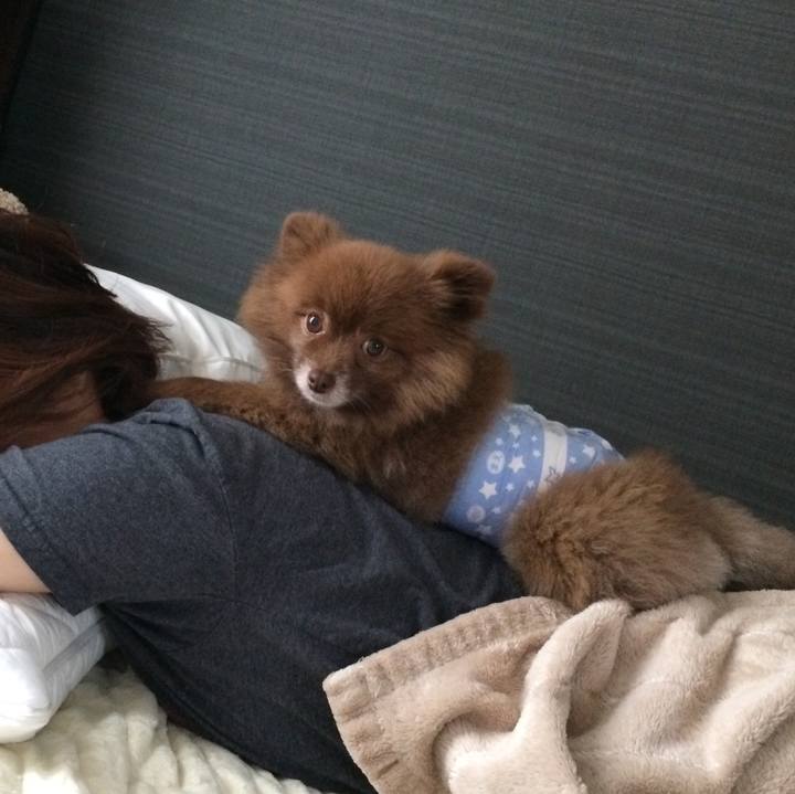 55d47c64 820c 4b1d 8836 86175a231441