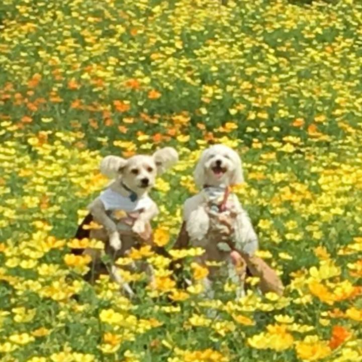 55d494e6 2cf7 405c 835e cc538cceb7b5