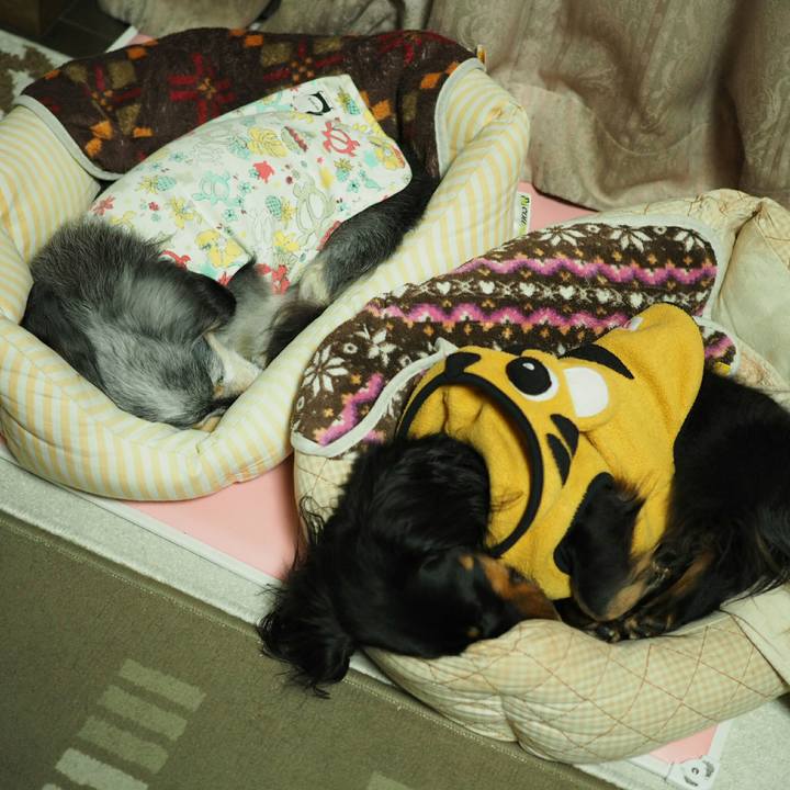 55d55426 2d11 4fb0 80ba 8786e324c3f7