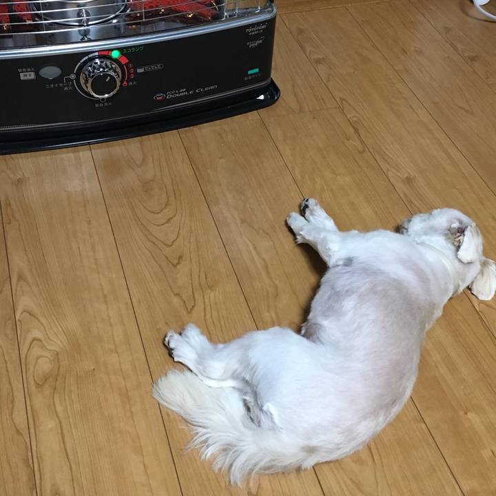 55d5b1b2 5b49 4cf0 9a52 368dac2f1580