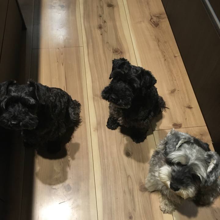 55d5cd2f 632d 417b 9685 a1b137236a37