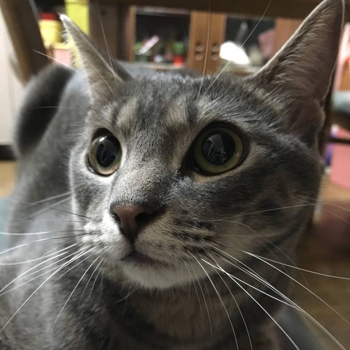 55d74ea2 6e52 4547 8be6 d94353818a6a