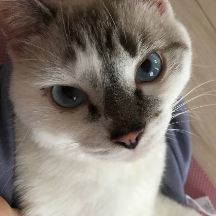 55d76ffe 6b02 4087 af14 be56625200ff