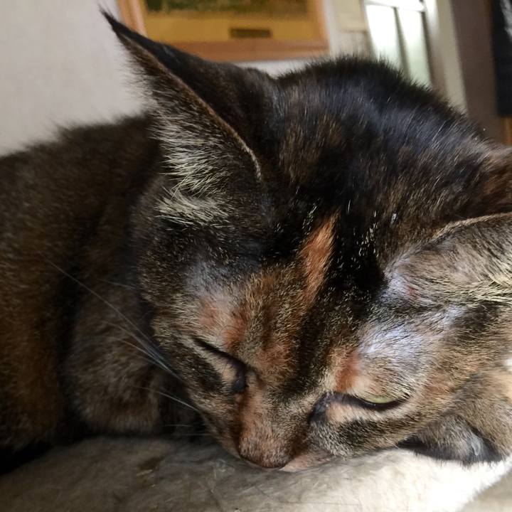 55d7cb6d 9425 42eb b171 42d2b07dfafe