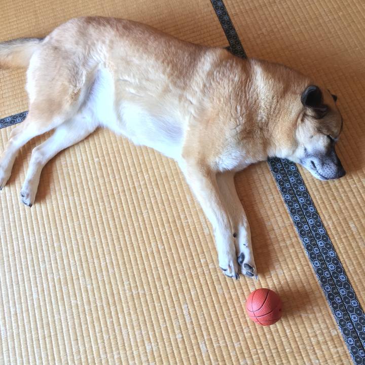 55d7e7fd 7f51 4e85 928b e0e4426d0a66