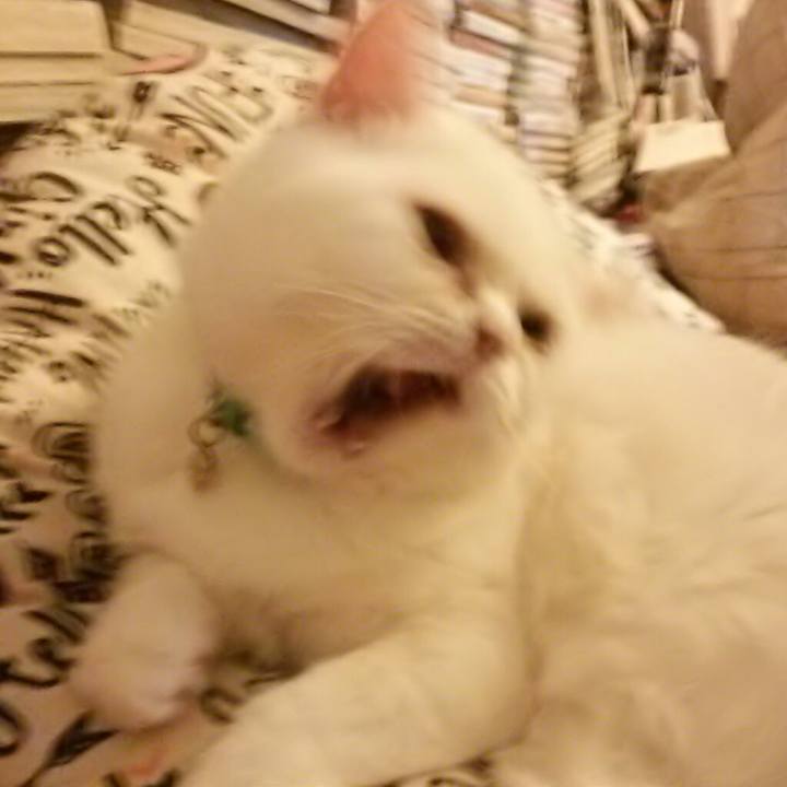 55d85f05 ffe1 4117 9ebd 89004fb1e2ea