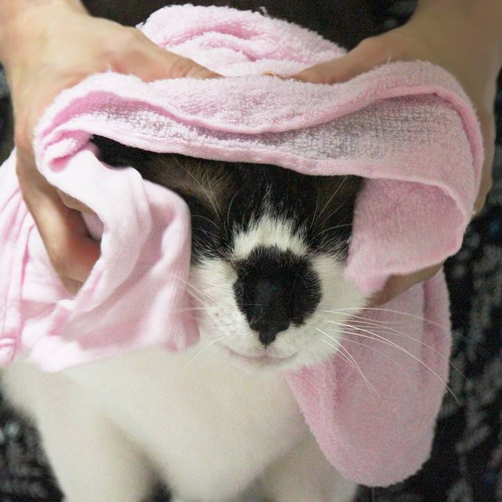 55d88f8c ffaf 4d82 8af5 1dafe368bdeb