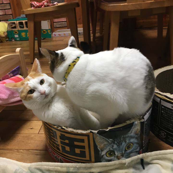 55d8fd94 e9ed 4e26 9e6d 2004adf5f324