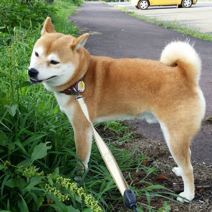 55d970c8 2129 40f3 8fa1 4a7dc0019b28