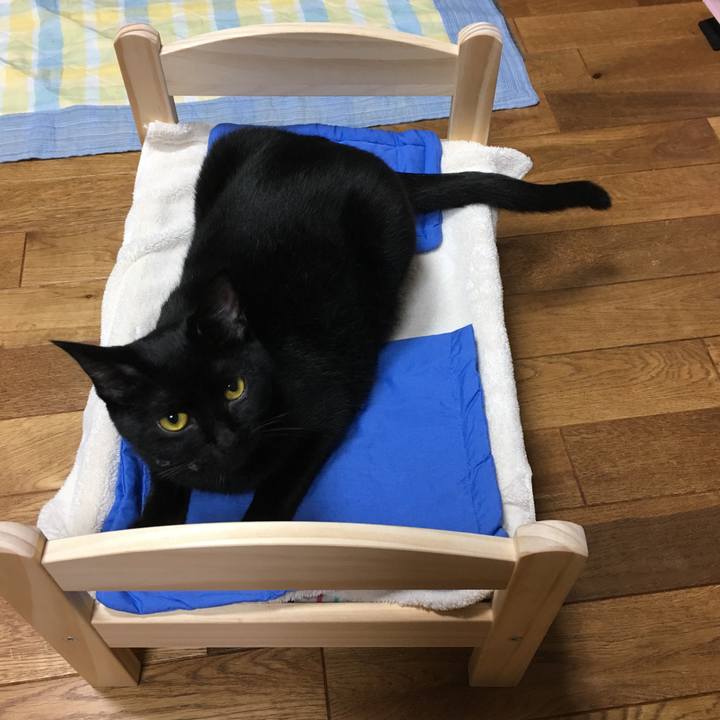 55d9bf36 6313 4c25 9ef4 62ad419e2dc9