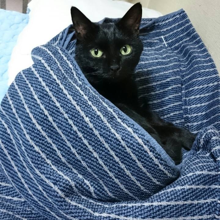 55d9d0ca e277 4051 8d7a a5dea4f4823a