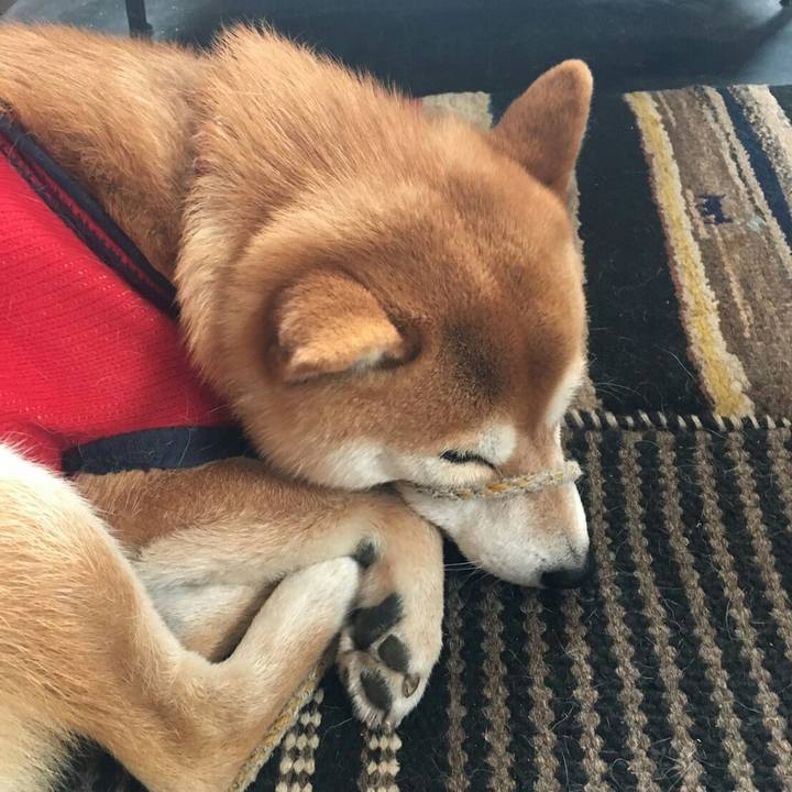 55da0ee2 7028 4c78 ac28 8331856ab567