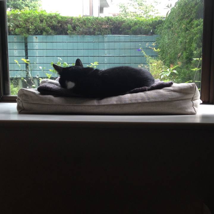 55dae957 68b2 4ca0 b702 69fdbd365c87