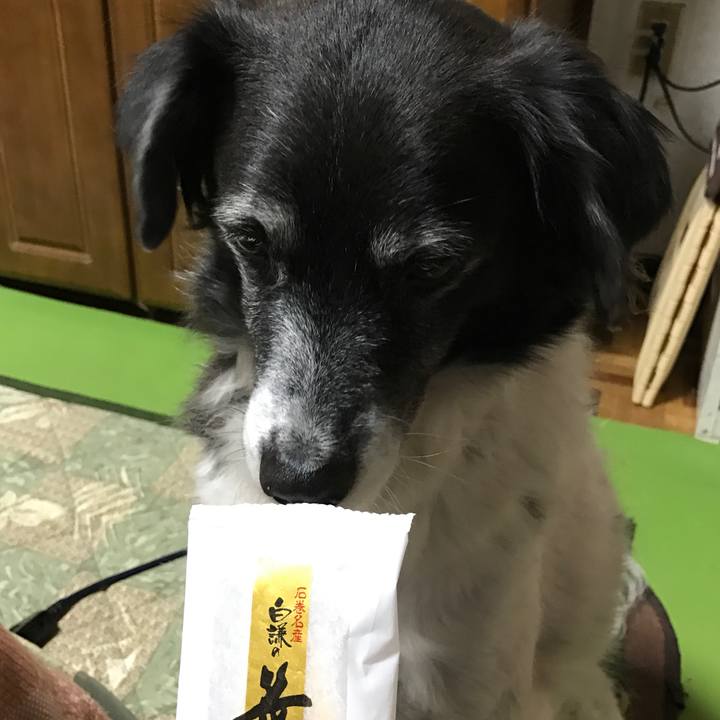 55dc49c6 cc09 4705 9161 2900248c243f