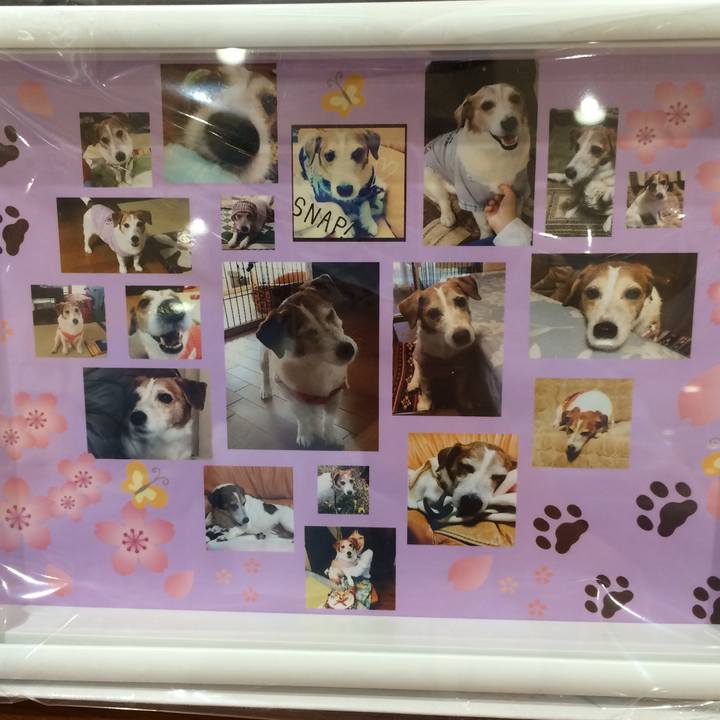 55ddd9a9 dcb8 4f61 890a da7cfb7addcf