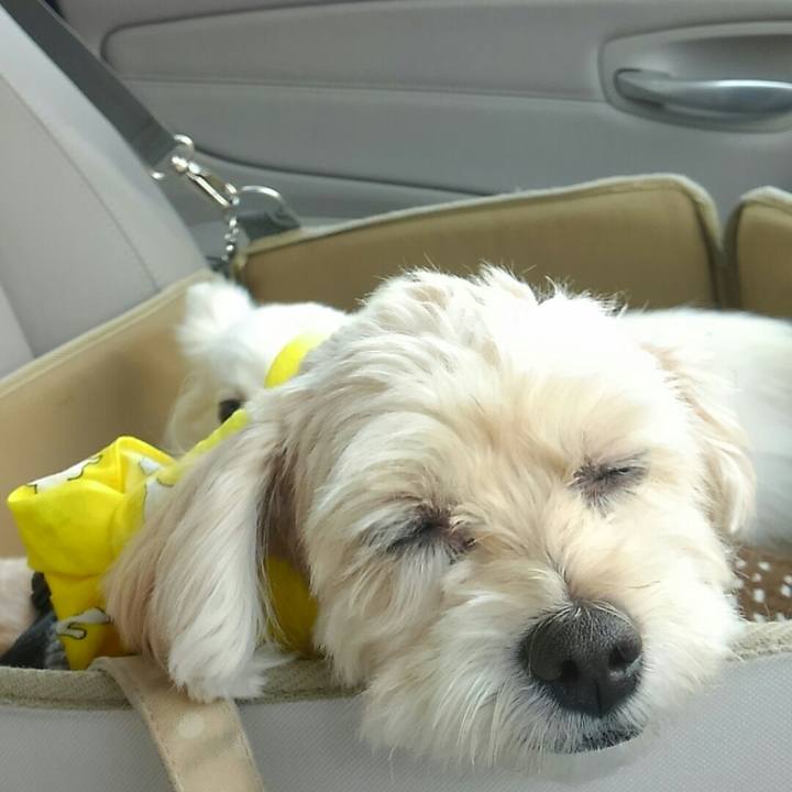 55de0484 19f5 4299 a4c7 6748e7777510