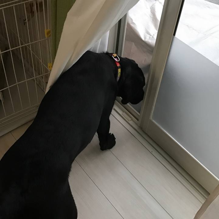 55de684a 8591 4246 9705 4fdad3eb9dc1