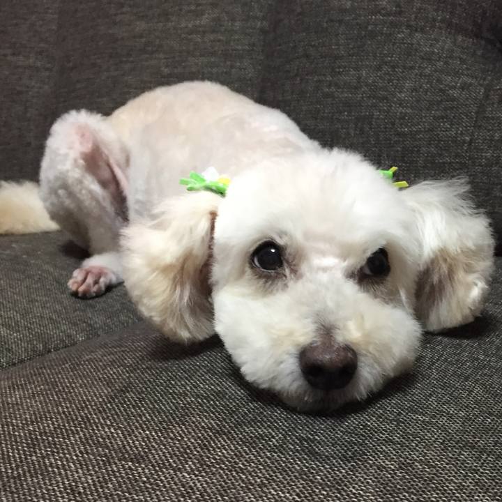 55df7018 f05b 41bc bfdd 516f142977c2