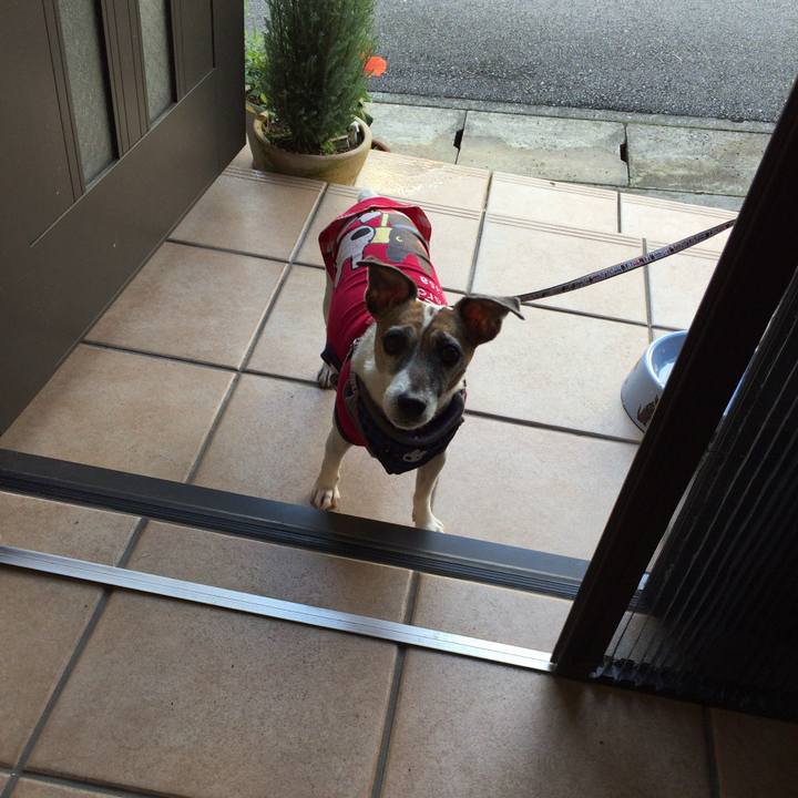 55e08d93 5ea5 4559 89b7 a40decfccc70