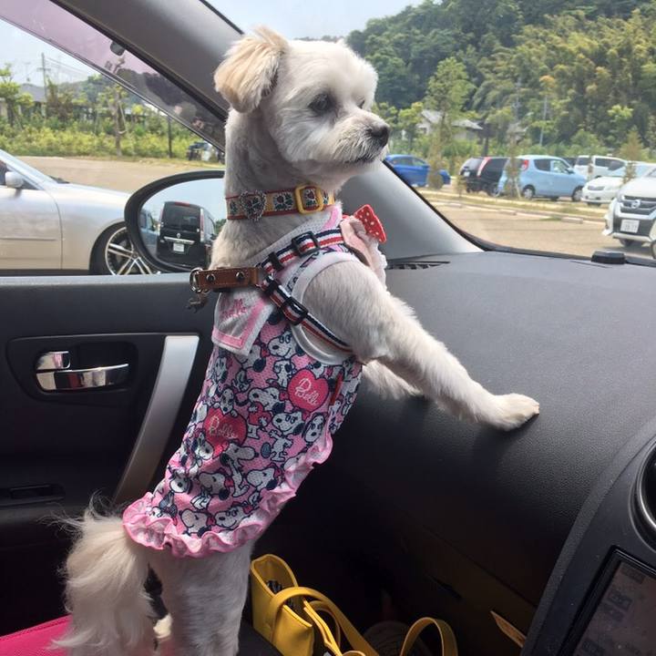 55e0da17 a58a 4d34 847d f501db6df1b6