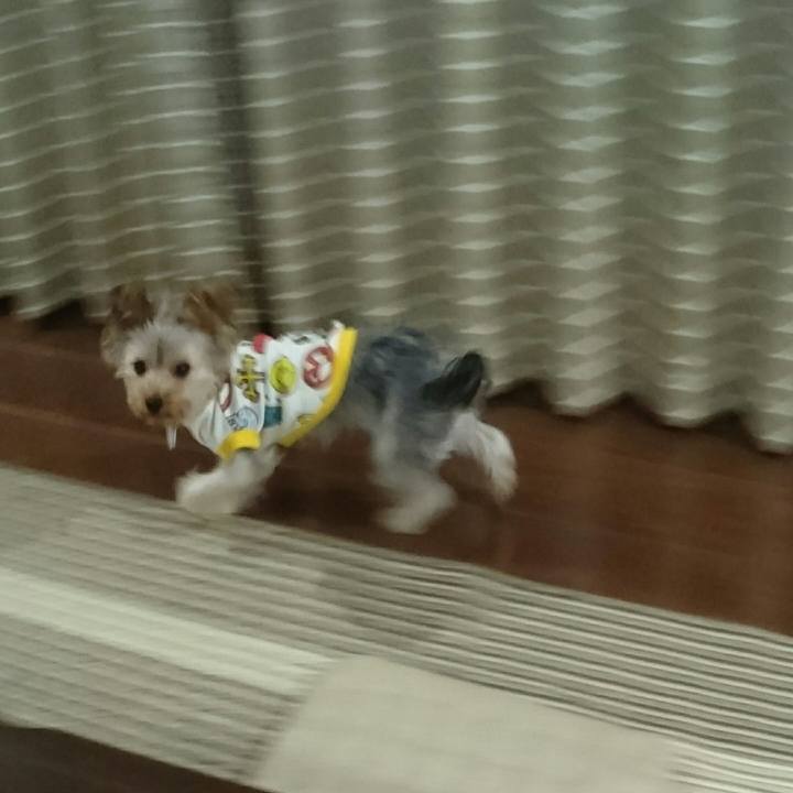 55e23bbf 52e8 48e3 8312 f10775d80769