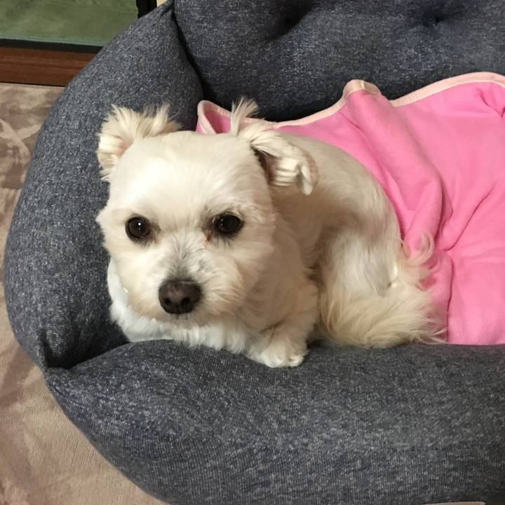 55e2a3bd 3bb3 4551 aeef 93d95f2126fc