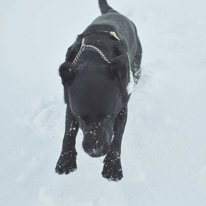 55e2e752 7cd4 4f70 9f91 fa3555bc8053