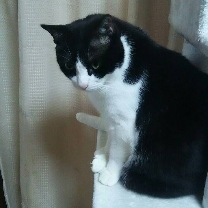 55e302b3 bfa4 4303 a762 d4474401ec56