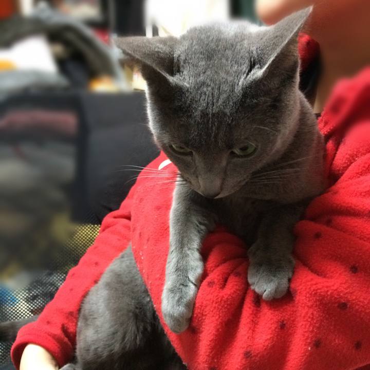 55e35599 bc7a 410b 9dab df6c4add6135