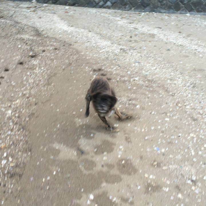 55e3ae8a e988 4d12 b98b 986d0d6eb4d3