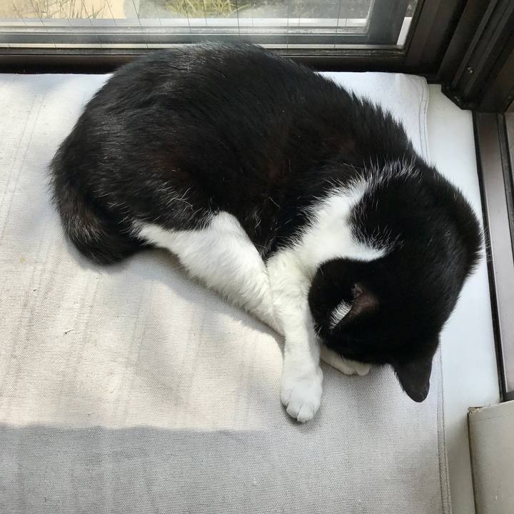 55e3e661 c32a 4fb9 8441 cb43412a896a