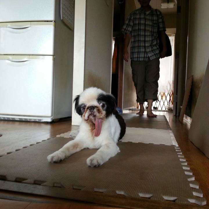 55e3eb09 f032 475a 8ea2 6f208914189b