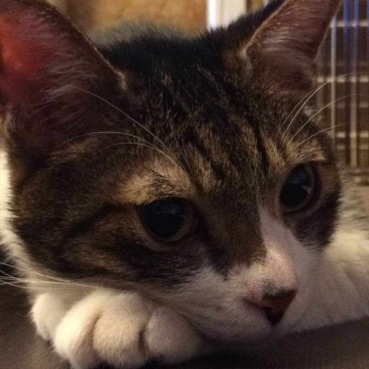 55e56d3b c6c7 44fd 85e6 a9188f978ba7