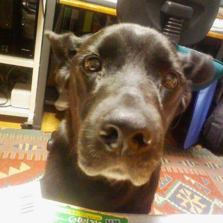 55e5f390 8a2d 4a91 8b94 80f0f6c8ae66