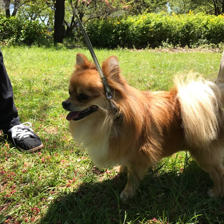 55e5f3d4 bafc 4363 95d9 4a7be7f4156e