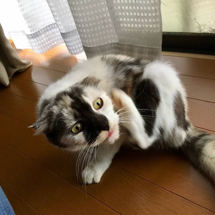 55e66899 7593 4d0e a9cc 240b271f95c3