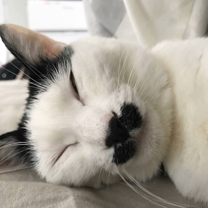 55e6c0eb 692c 47e0 81c7 08725cc4d82a