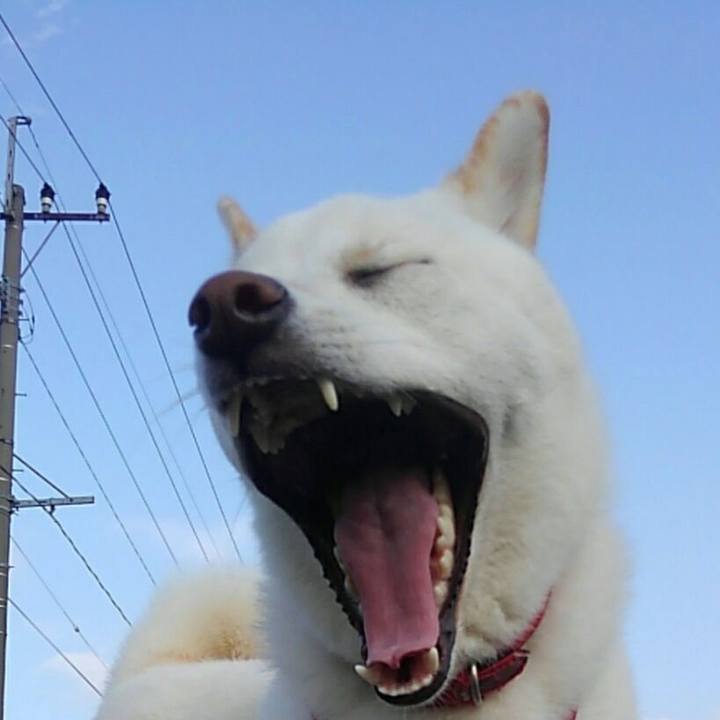 55e6f0f3 f00f 4a84 9dca 0ee37676dab2