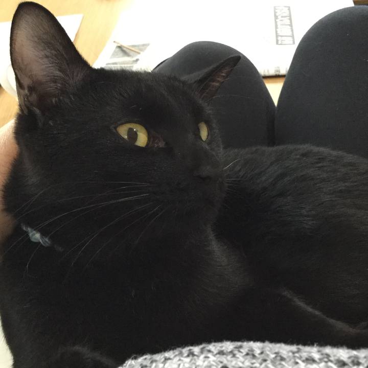 55e7b7fb 5c66 45a7 9797 d9aa5ae644b8