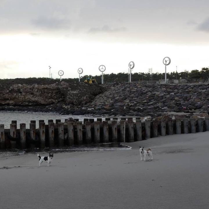 55e7bd78 785c 469a a754 97e7f6c48ebb