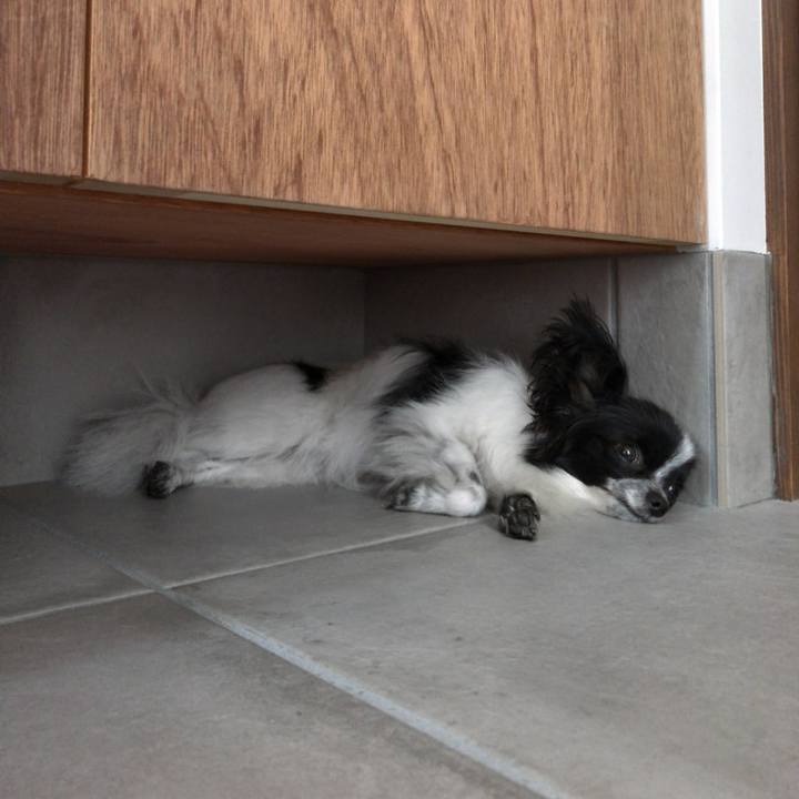 55e7e882 c80a 498e a79b 9a98028c8dee