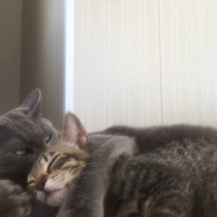 55e842c7 a8bf 4d54 879f 910d92072798