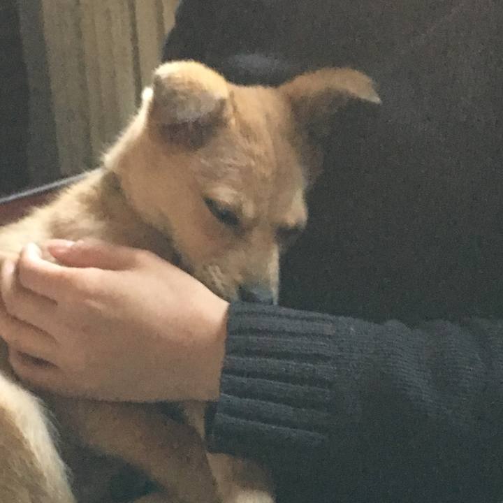 55e8a6ed d539 40ac a0ce 0e92d2249ed4