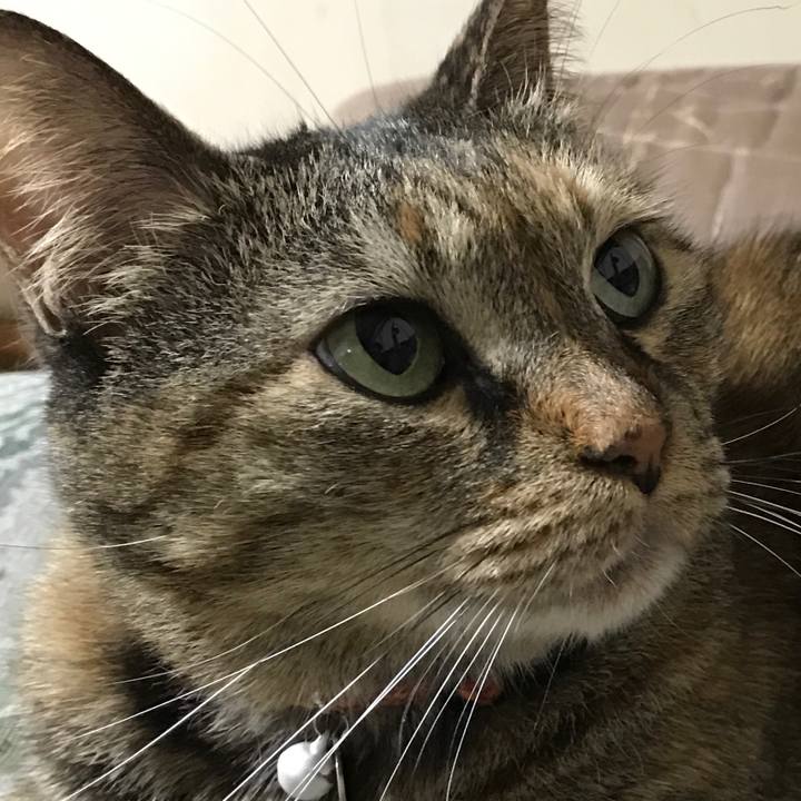 55e8c12f 6faf 4456 9238 e91512871e52