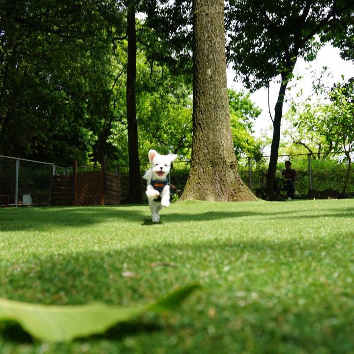 55e9366a c9bd 41b6 8d8c 1fccd9a38003