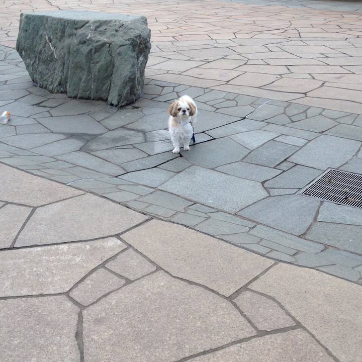 55e9cdea 94fe 4688 8373 1e8794b8d3e3