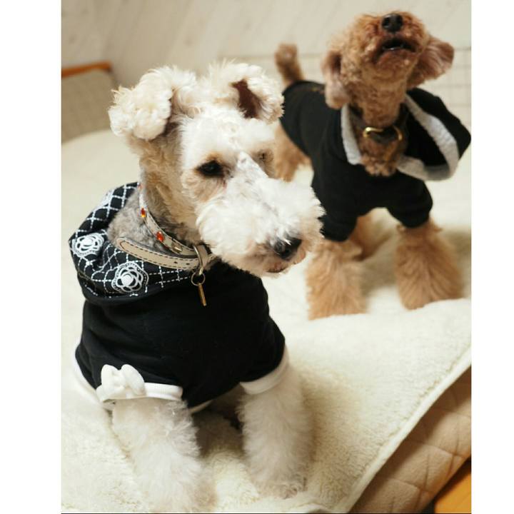 55e9e529 ed4e 4515 922b 6b1422c440a1